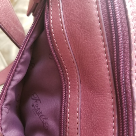 Pink Fossil - Picture 2 of 8